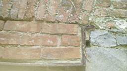 acastle
                          100995.jpg